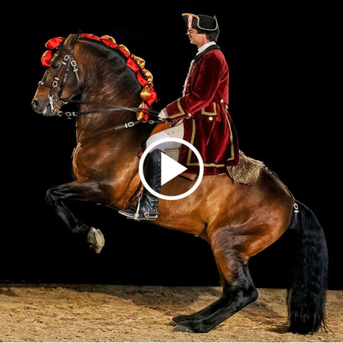 Bolero Dance Of The Horses @Escola Portugesa de Arte Equestre