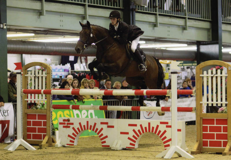 5 Year Old Championship BSJA Scope Festival Of Showjumping - Arturo 9 & Paul Simms