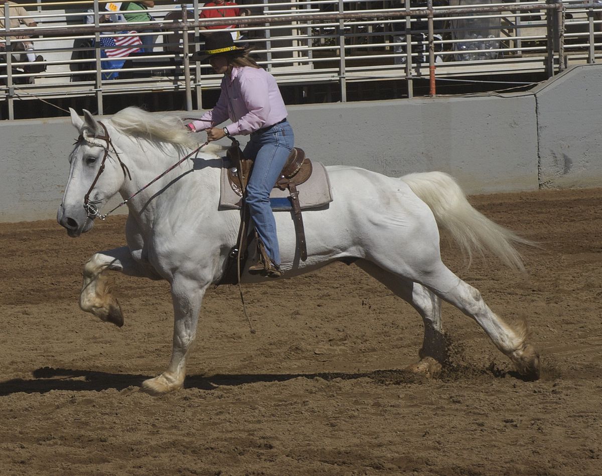 Draft Horse Barrel Racing @Annual Draft Horse Show, Georgia National ...