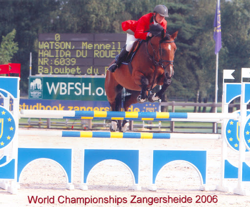 Euro Sport Horse