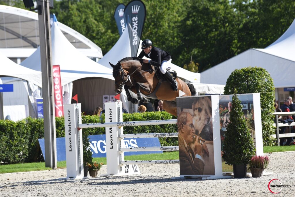 Showjumping Stallions – StableExpress