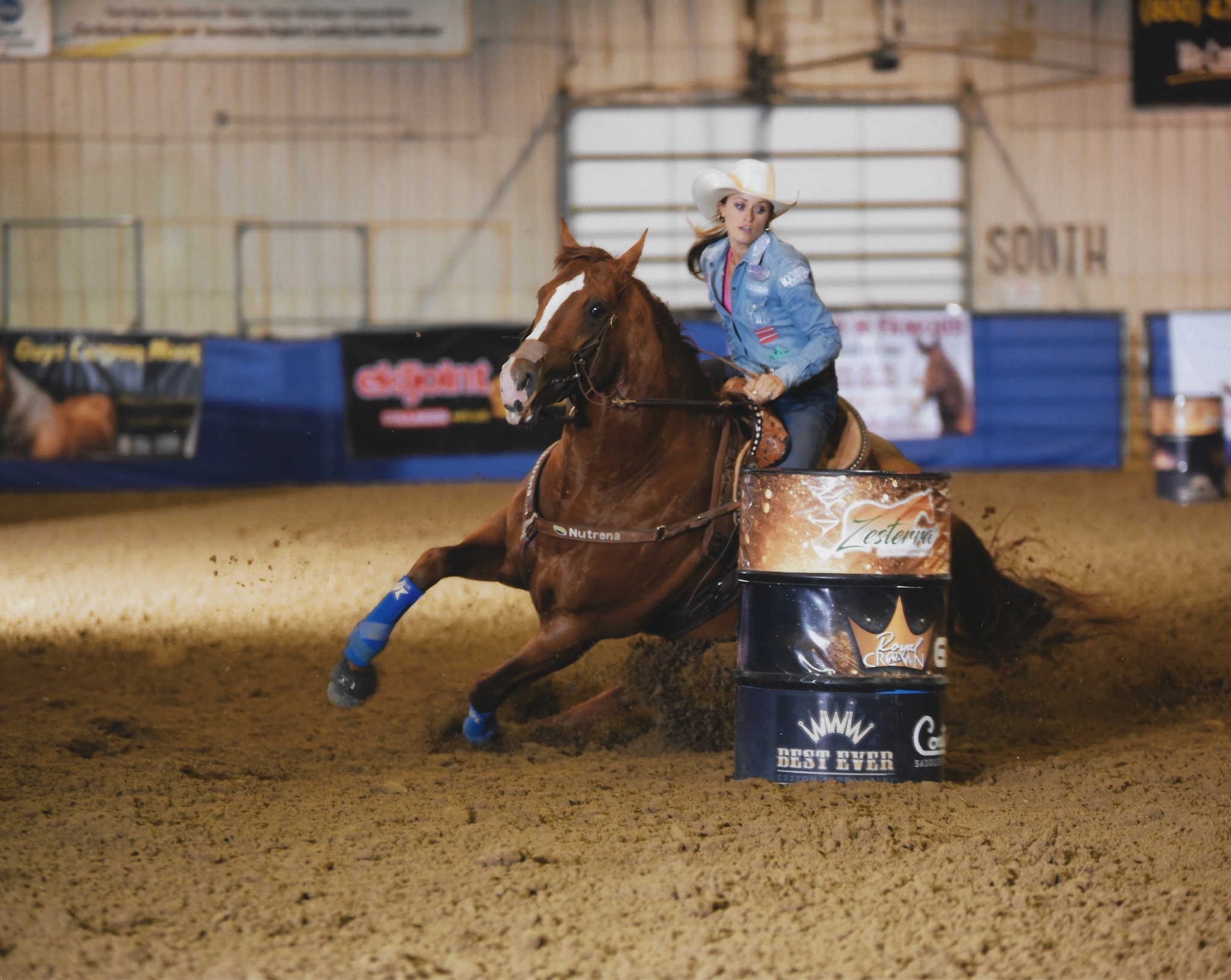 Green Creek Ranch, Quarter Horse Performance Stallions Stephenville