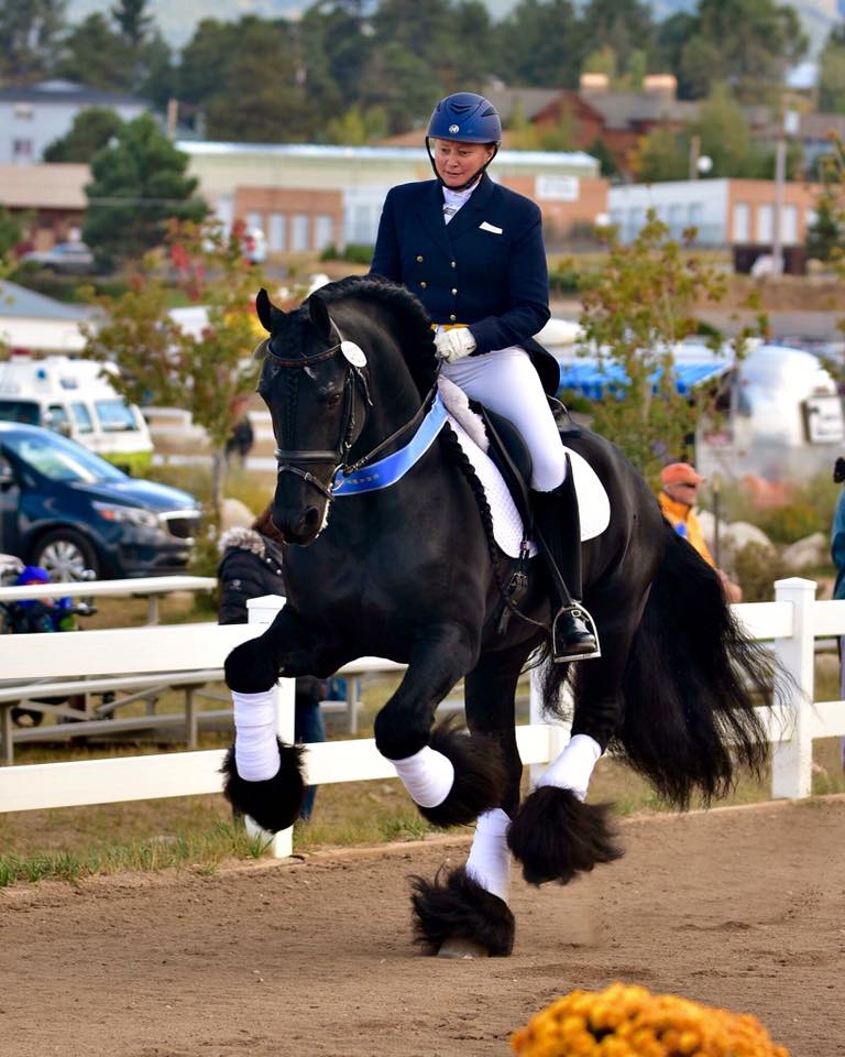 Nicole Gluesenkamp - Dressage Rider