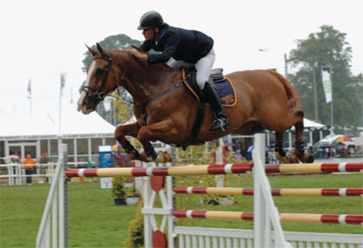 Paul Barker Showjumper - Stableexpress