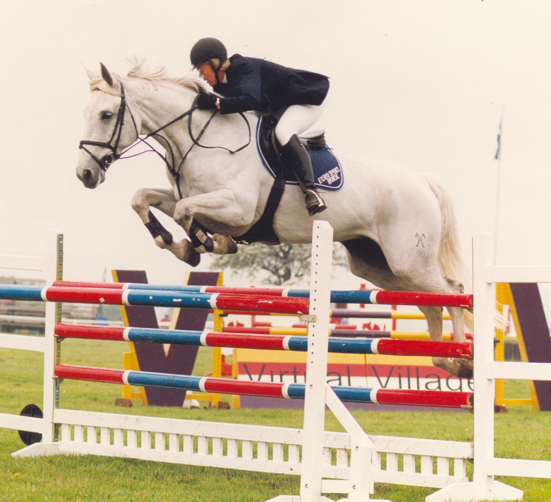 Casablanca - Showjumping Mare